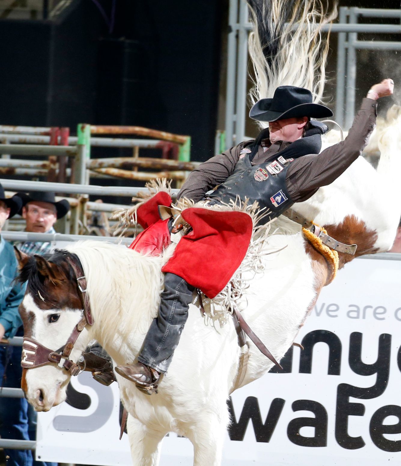 Chase Hawks rodeo
